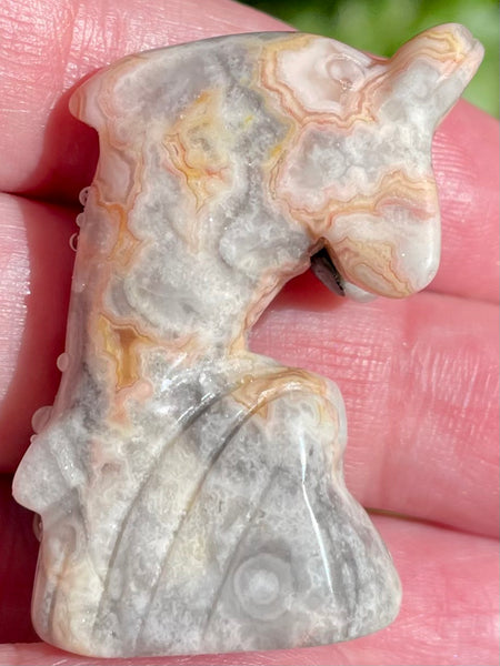 Carved Crazy Lace Agate Dolphin - Morganna’s Treasures 