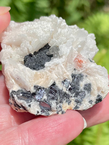 Barite with Galena Cluster from Morocco - Morganna’s Treasures 