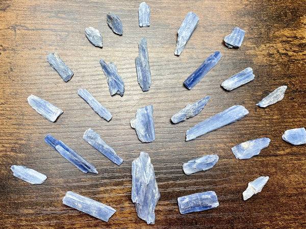 Small Rough Blue Kyanite Blades - Morganna’s Treasures 