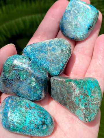 High Quality Tumbled Shattuckite - Morganna’s Treasures 