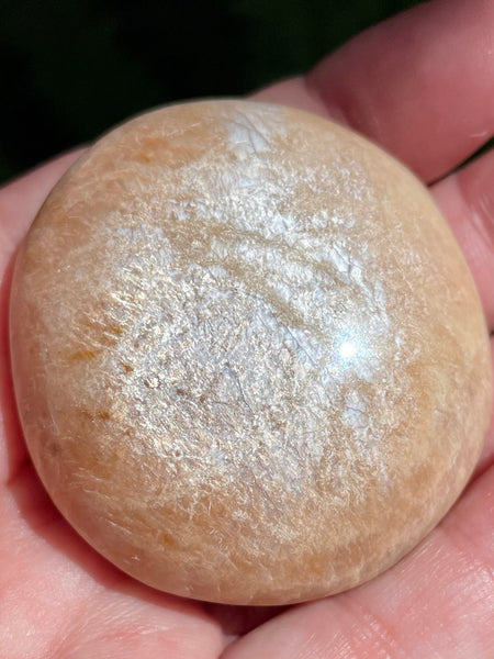 Flashy Peach Moonstone Palm Stone - Morganna’s Treasures 