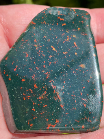 Bloodstone Palm Stone - Morganna’s Treasures 