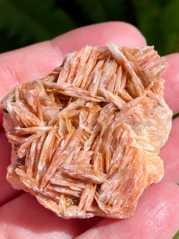 Barite Cluster from Morocco - Morganna’s Treasures 