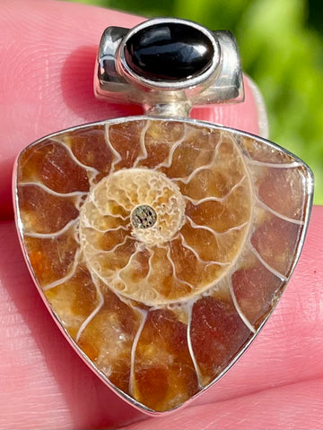 Ammonite and Black Onyx Pendant - Morganna’s Treasures 