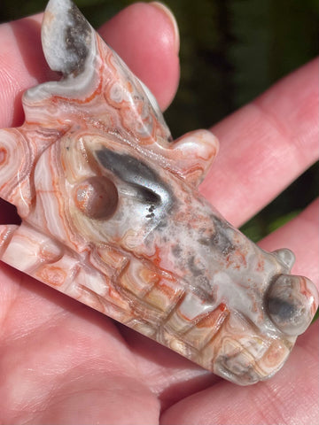 Gorgeous Crazy Lace Agate Dragon - Morganna’s Treasures 