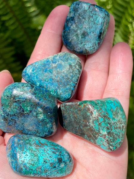 High Quality Tumbled Shattuckite - Morganna’s Treasures 