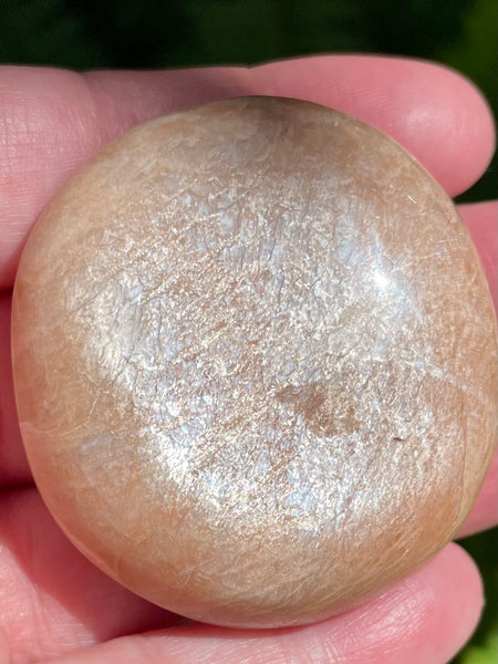 Flashy Peach Moonstone Palm Stone - Morganna’s Treasures 