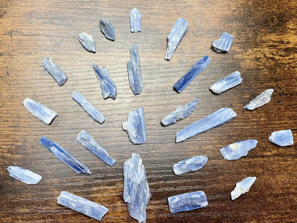 Small Rough Blue Kyanite Blades - Morganna’s Treasures 