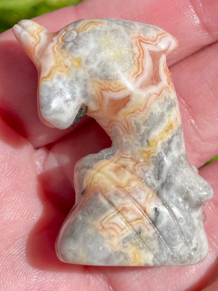 Carved Crazy Lace Agate Dolphin - Morganna’s Treasures 