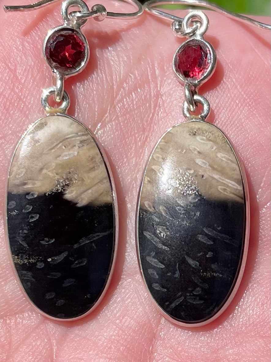 Petrified Palm Wood and Garnet Earrings - Morganna’s Treasures 