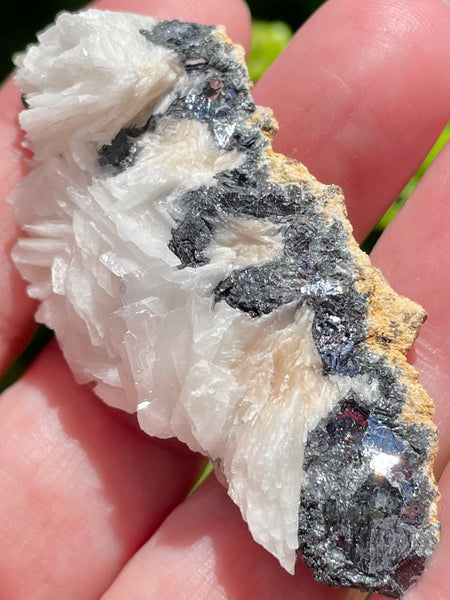 Barite with Galena Cluster from Morocco - Morganna’s Treasures 