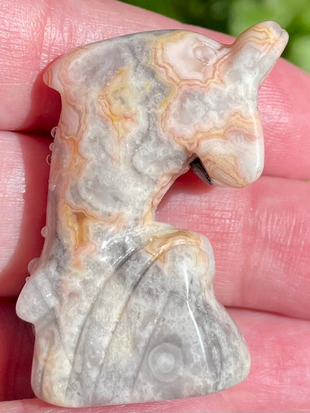 Carved Crazy Lace Agate Dolphin - Morganna’s Treasures 