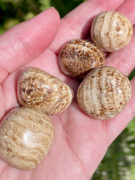 Aragonite Tumbled Stones - Morganna’s Treasures 