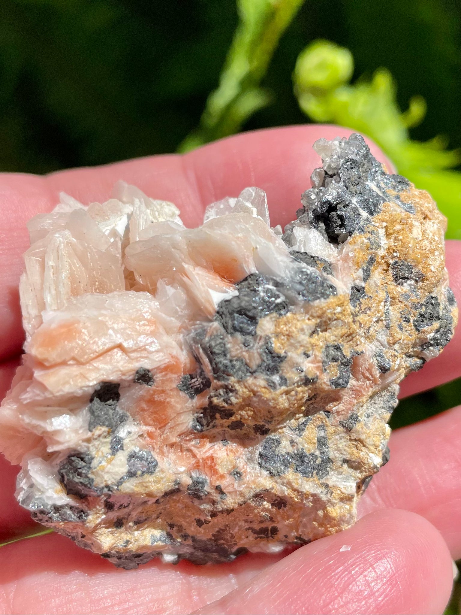 Barite with Galena Cluster from Morocco - Morganna’s Treasures 