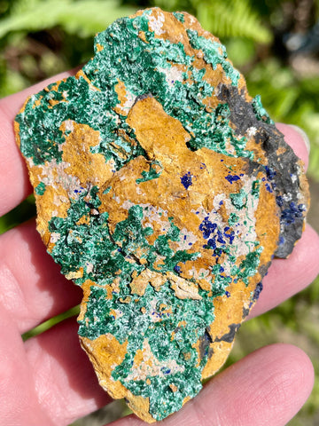 Azurite in Malachite from Morocco - Morganna’s Treasures 