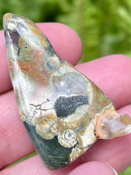 Rainforest Jasper Palm Stone - Morganna’s Treasures 