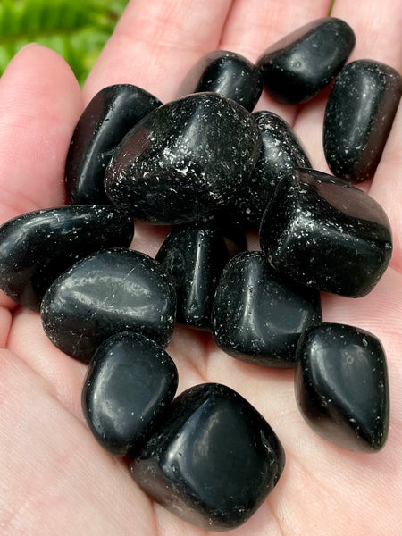 Tumbled Shungite from Russia - Morganna’s Treasures 