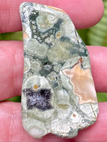 Rainforest Jasper Palm Stone - Morganna’s Treasures 