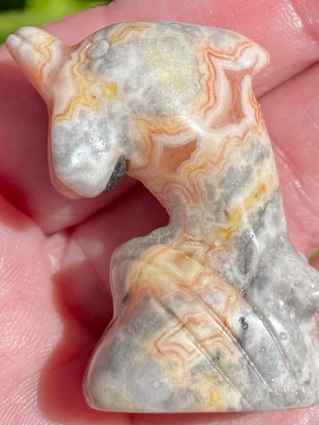 Carved Crazy Lace Agate Dolphin - Morganna’s Treasures 