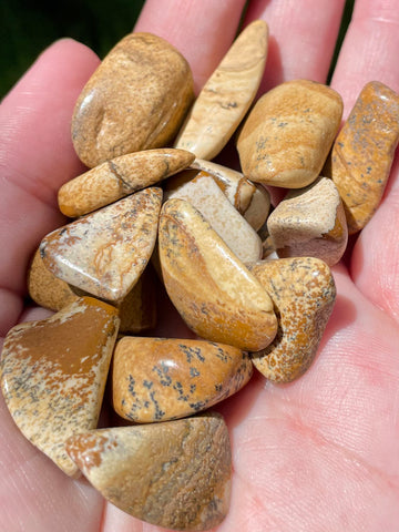 Picture Jasper Tumbled Stones - Morganna’s Treasures 