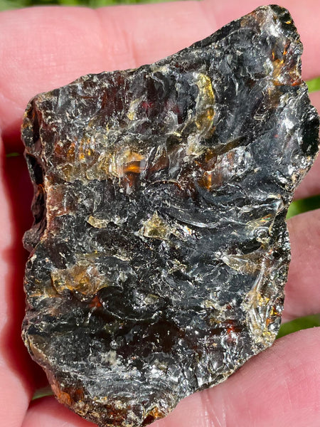 Amber Palm Stone - Morganna’s Treasures 