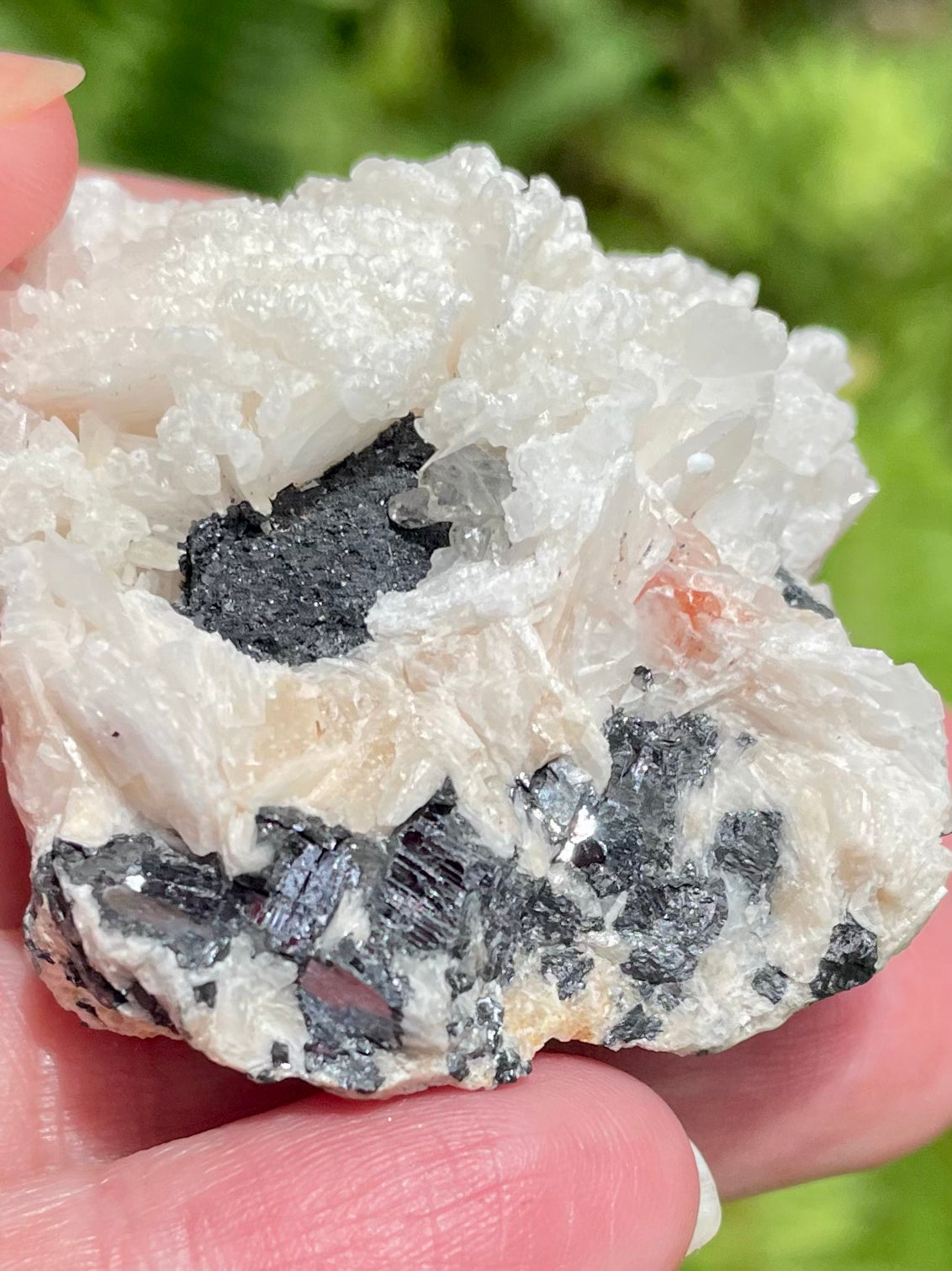 Barite with Galena Cluster from Morocco - Morganna’s Treasures 