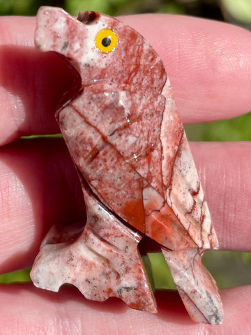 Rhyolite Eagle Palm Stone - Morganna’s Treasures 