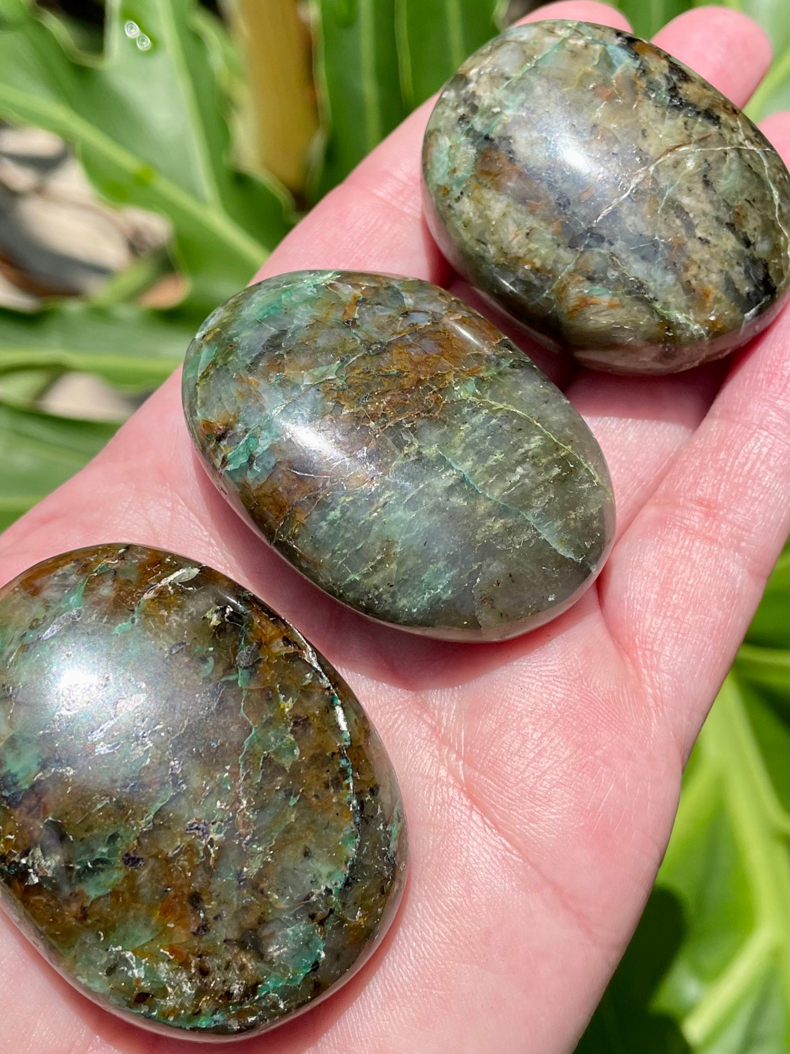 Chrysocolla Palm Stones - Morganna’s Treasures 