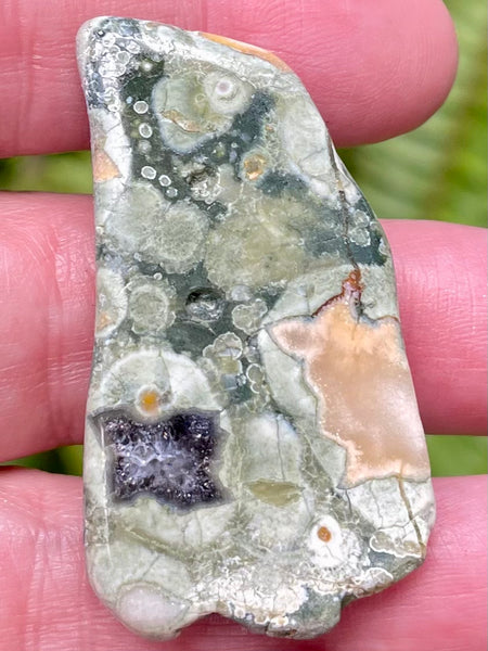 Rainforest Jasper Palm Stone - Morganna’s Treasures 