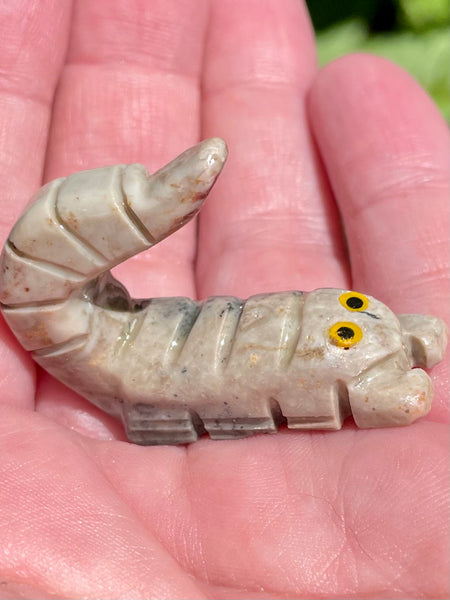 Rhyolite Scorpion Palm Stone - Morganna’s Treasures 