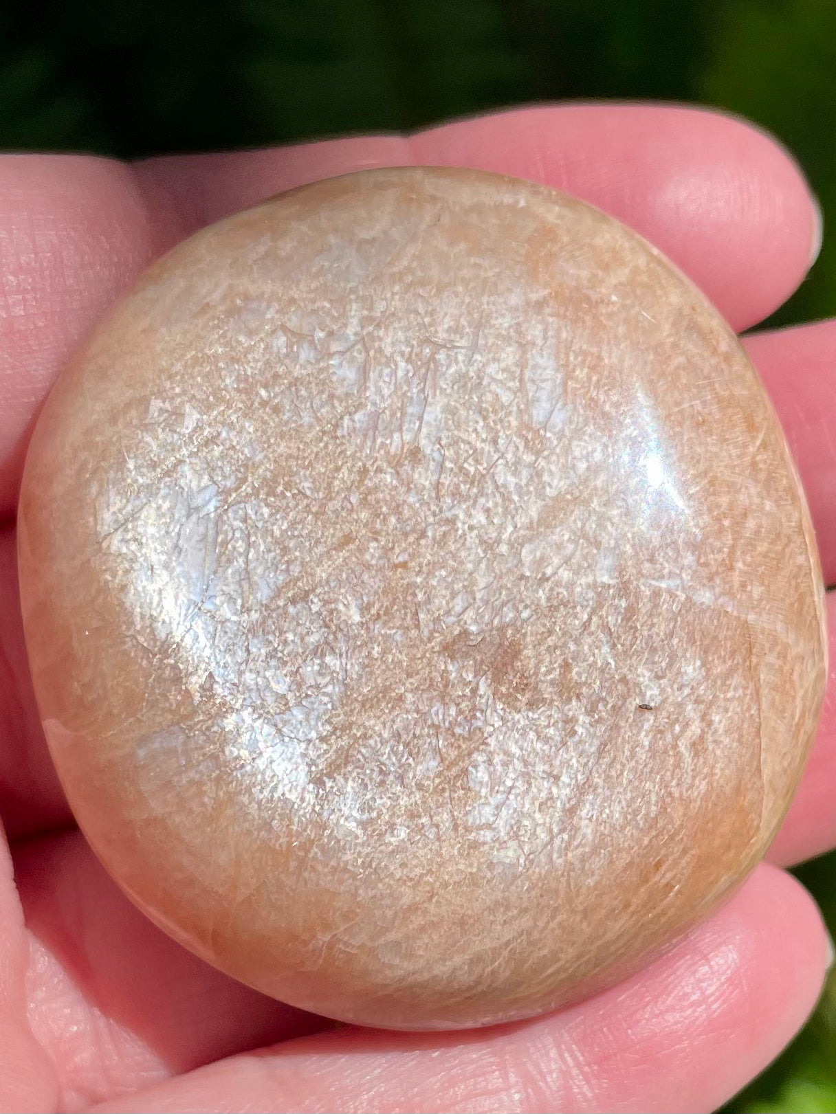 Flashy Peach Moonstone Palm Stone - Morganna’s Treasures 