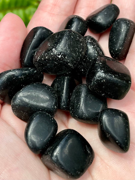 Tumbled Shungite from Russia - Morganna’s Treasures 