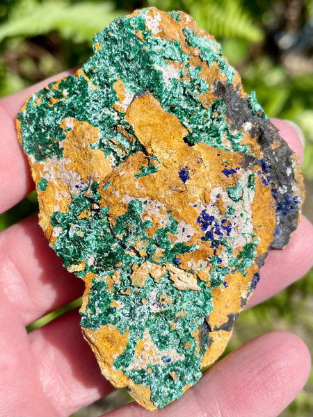 Azurite in Malachite from Morocco - Morganna’s Treasures 