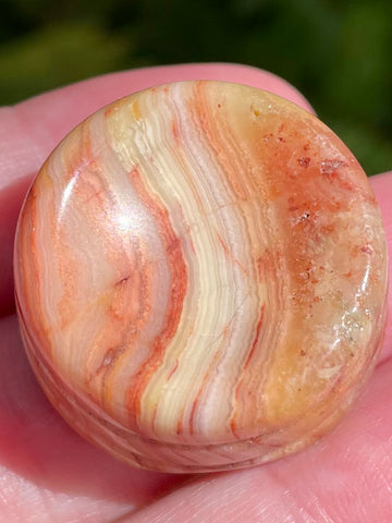 Small Crazy Lace Agate Sphere Stand - Morganna’s Treasures 