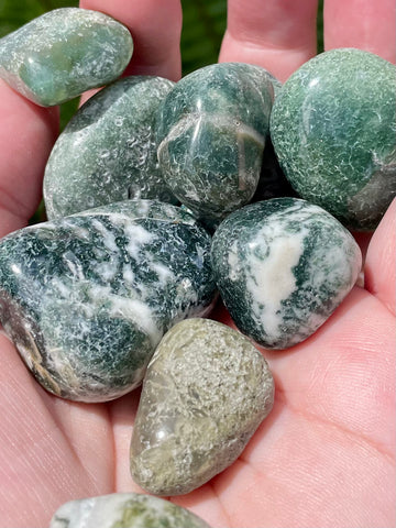 Tumbled Moss Agate Stones - Morganna’s Treasures 