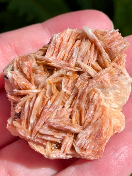 Barite Cluster from Morocco - Morganna’s Treasures 