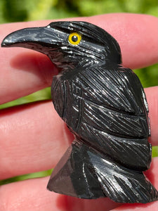 Small Black Obsidian Raven - Morganna’s Treasures 