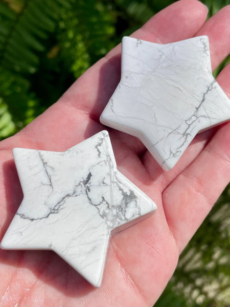 Howlite Star Palm Stones - Morganna’s Treasures 