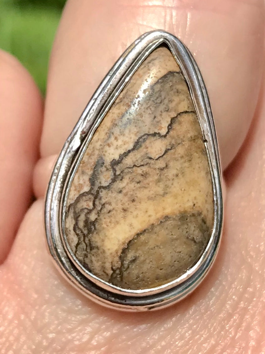 Picture Jasper Cocktail Ring Size 6.5 - Morganna’s Treasures 