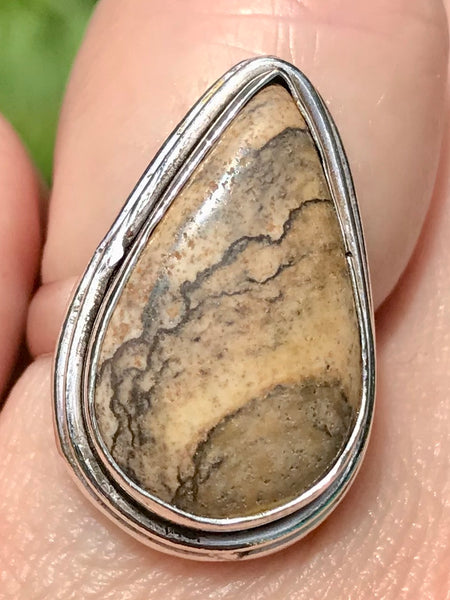 Picture Jasper Cocktail Ring Size 6.5 - Morganna’s Treasures 