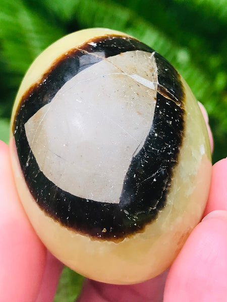 Septarian (Dragon’s Stone) Sphere Ball Palm Stone - Morganna’s Treasures 