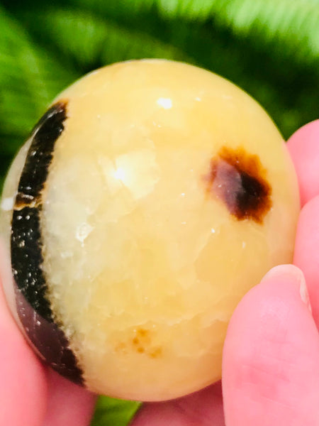 Septarian (Dragon’s Stone) Sphere Ball Palm Stone - Morganna’s Treasures 