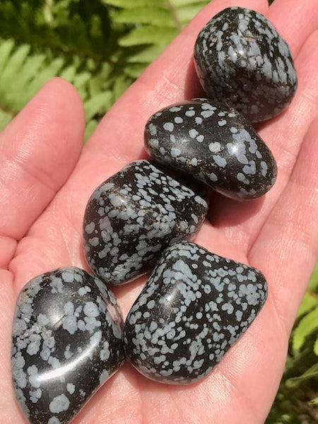 Large Snowflake Obsidian Tumbled Stones - Morganna’s Treasures 