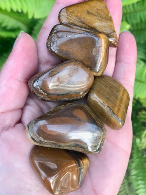 Large Golden Tigers Eye Tumbled Stones - Morganna’s Treasures 