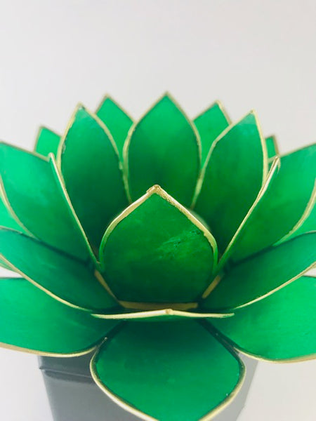 Green Natural Capiz Shell Tea Light Holder - Large - Morganna’s Treasures 