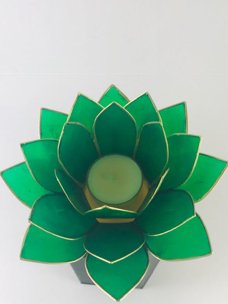 Green Natural Capiz Shell Tea Light Holder - Large - Morganna’s Treasures 