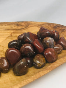 Petrified Wood Tumbled Stones from India - Morganna’s Treasures 