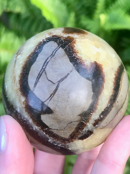 Large Septarian (Dragon’s Stone) Crystal Ball - Morganna’s Treasures 