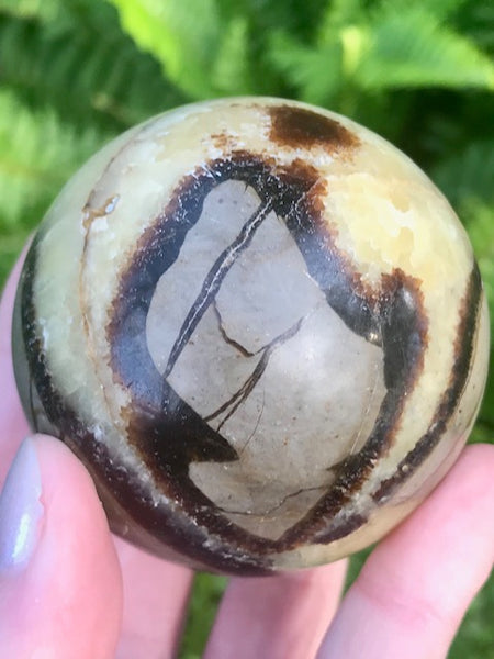 Large Septarian (Dragon’s Stone) Crystal Ball - Morganna’s Treasures 