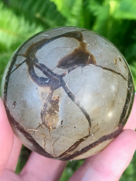 Large Septarian (Dragon’s Stone) Crystal Ball - Morganna’s Treasures 